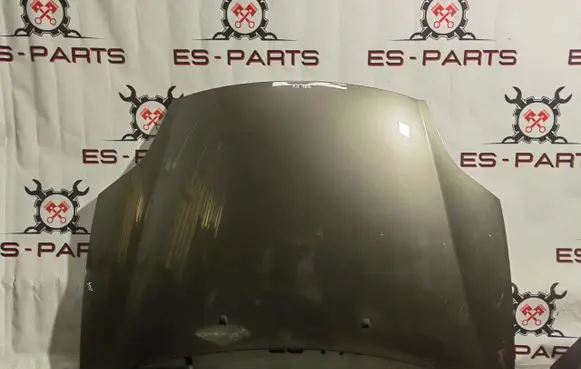 Fiat Bravo Engine bonnet/hood
