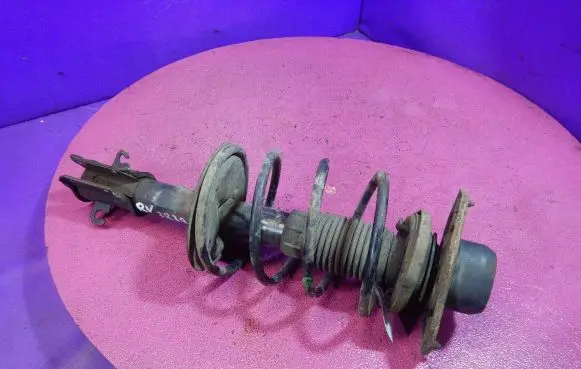 Fiat Bravo - Brava Front shock absorber with coil spring 20333789