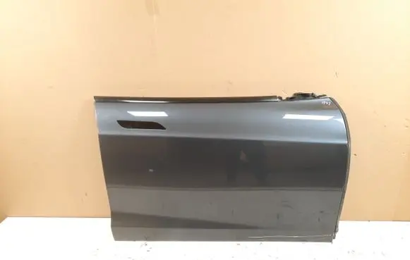 Tesla Model S Front door