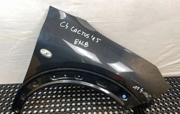 Citroen C4 Cactus Fender