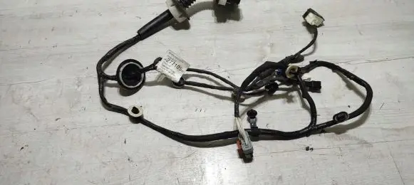 Front door wiring loom