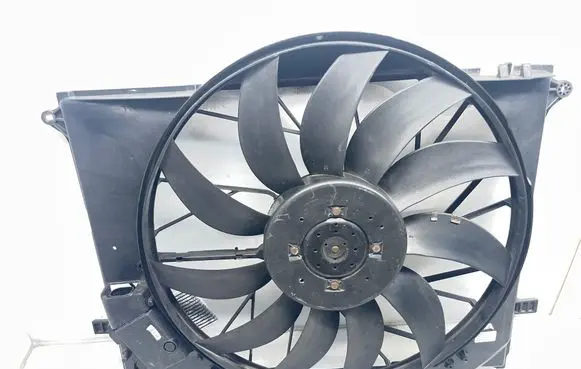 Mercedes-Benz S W220 Electric radiator cooling fan A2205000193