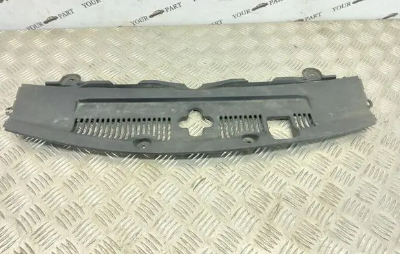 Engine bonnet/hood lock trim molding