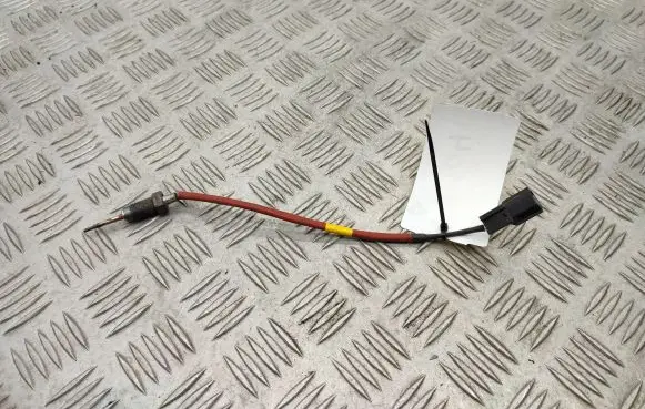Renault Express Exhaust gas temperature sensor