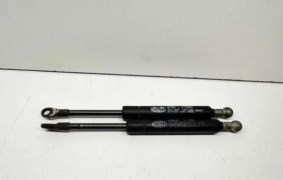 BMW 5 E39 Rear window strut damper 8190688 51248190688