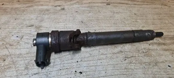 Volvo V70 Fuel injector 0445110251