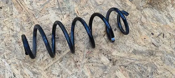 Rear coil spring