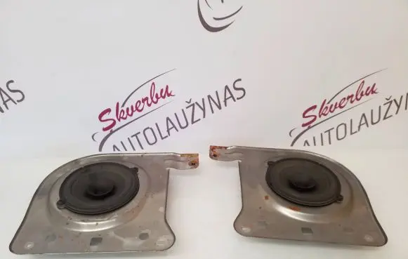 Renault Trafic III (X82) Subwoofer speaker 3007