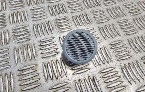 Front door speaker