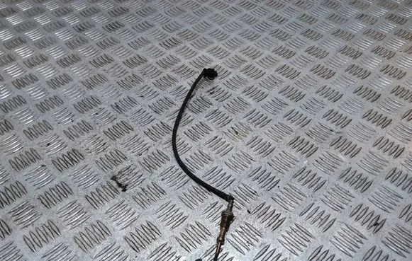 Exhaust gas temperature sensor