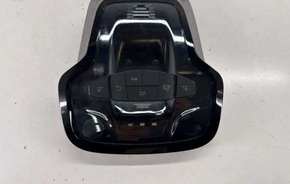 Alfa Romeo Stelvio Front seat light 01561519920 F08934401C