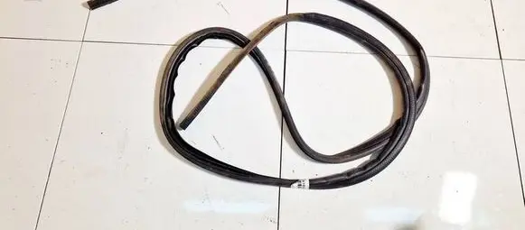 Chrysler Grand Voyager IV Rubber seal rear door 