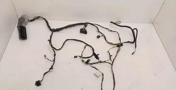 BMW 3 F30 F35 F31 Front door wiring loom 9286225 9286208 516571A5