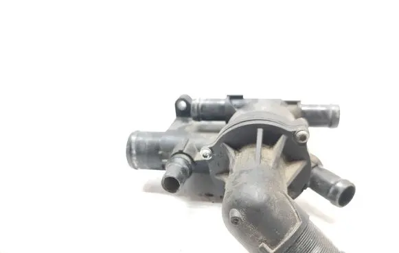 Thermostat/thermostat housing