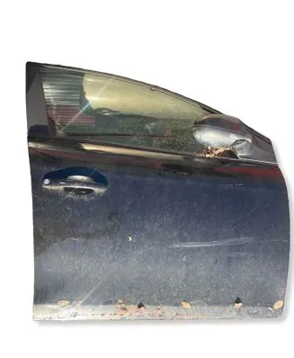 Fiat Bravo Front door 