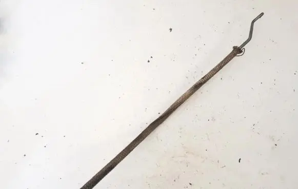 Front door cable line