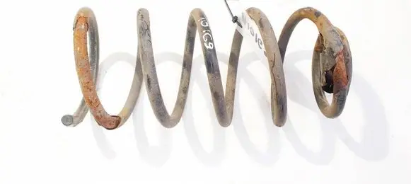 Rear coil spring