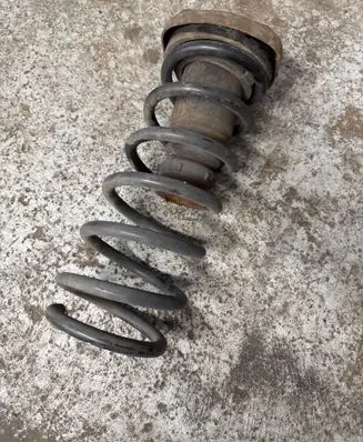 Rear coil spring