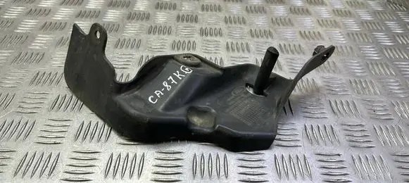 Ford Ecosport Rear mudguard CN1511779AC