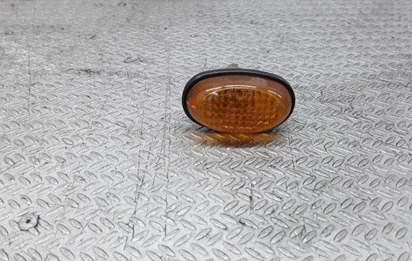 Front fender indicator light