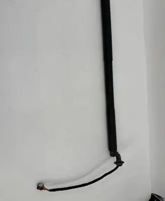 Tailgate/trunk strut/damper