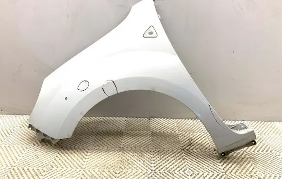 Renault Kangoo II Fender