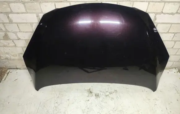 Engine bonnet/hood