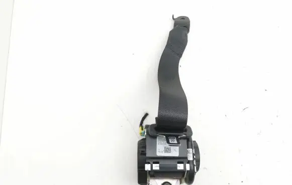 Tesla Model 3 Rear seatbelt 1110154C1G