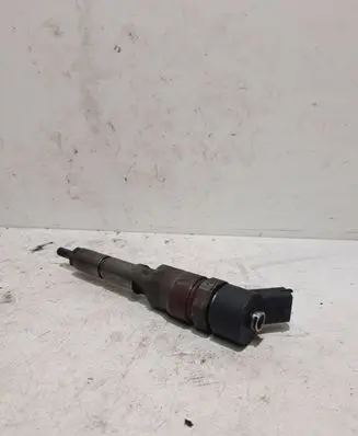 Citroen Xsara Fuel injector 0445110062