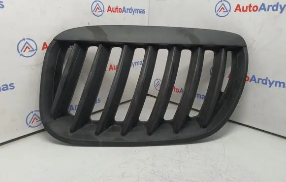BMW X5 E53 Front bumper upper radiator grill 7113733 51137113733