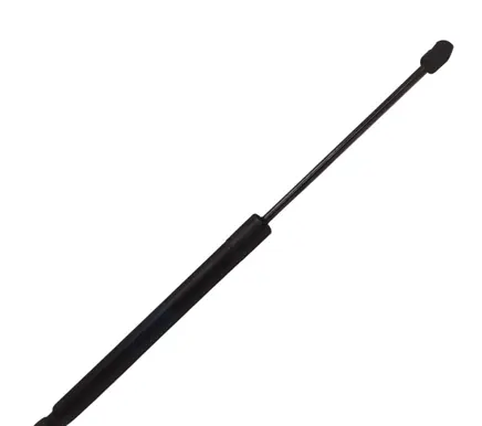 Tailgate strut