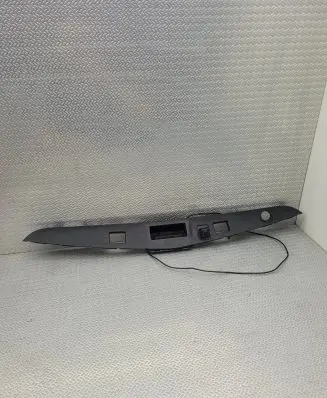 Trunk door license plate light bar