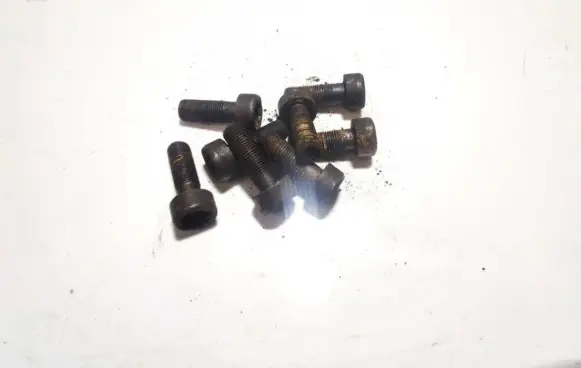 Nuts/bolts