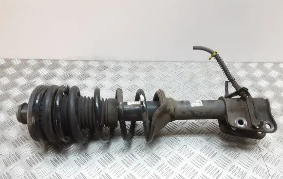Land Rover Freelander Rear shock absorber with coil spring 