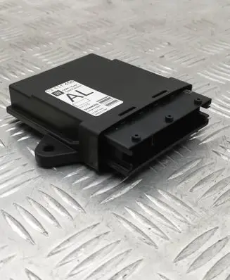 Opel Signum Door control unit/module 13111456 360572197 5WK46001