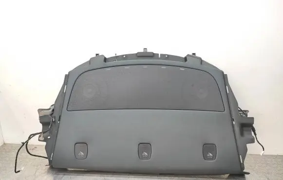 Tesla Model 3 Parcel shelf 107974200A 109045200K