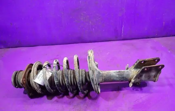 Fiat Doblo Front shock absorber with coil spring 