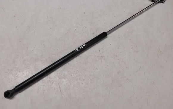 Renault Laguna II Rear window strut damper 8200000896 21019101