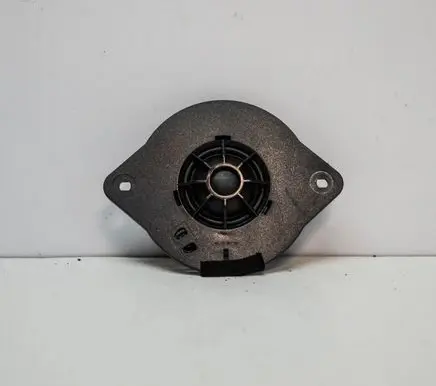 Panel speaker