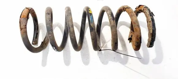 Ford S-MAX Rear coil spring 