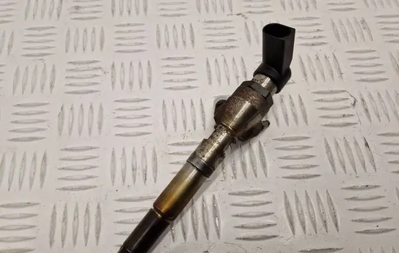 Renault Kadjar Fuel injector H8201100113 166006212R 26495