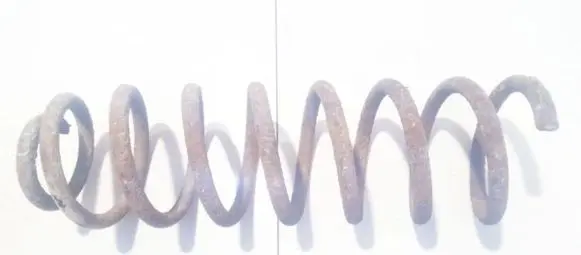 Rear coil spring