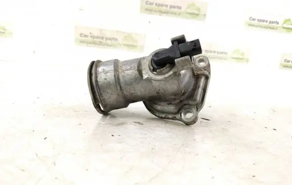 Thermostat/thermostat housing
