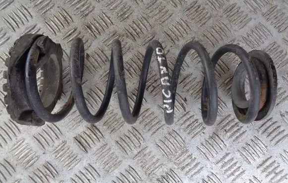Rear coil spring