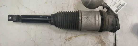 Volkswagen Phaeton Rear shock absorber/damper 3D0616002K