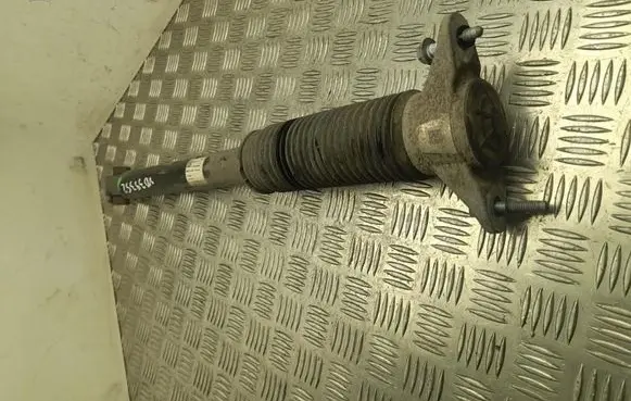 Tesla Model 3 Rear shock absorber/damper 134446200D