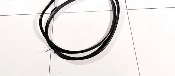 Infiniti QX50 (J50) Rubber seal front coupe door 