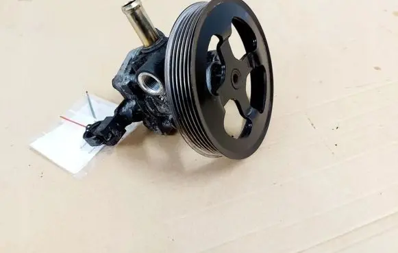 Mitsubishi Grandis Power steering pump