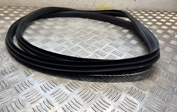 Ford Ecosport Front door rubber seal 