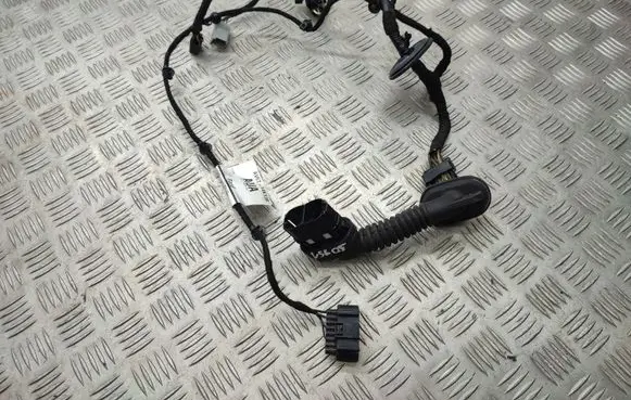 Ford C-MAX II Front door wiring loom